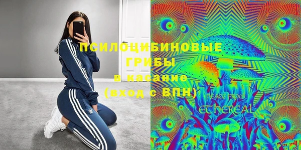 PSILOCYBIN Нязепетровск