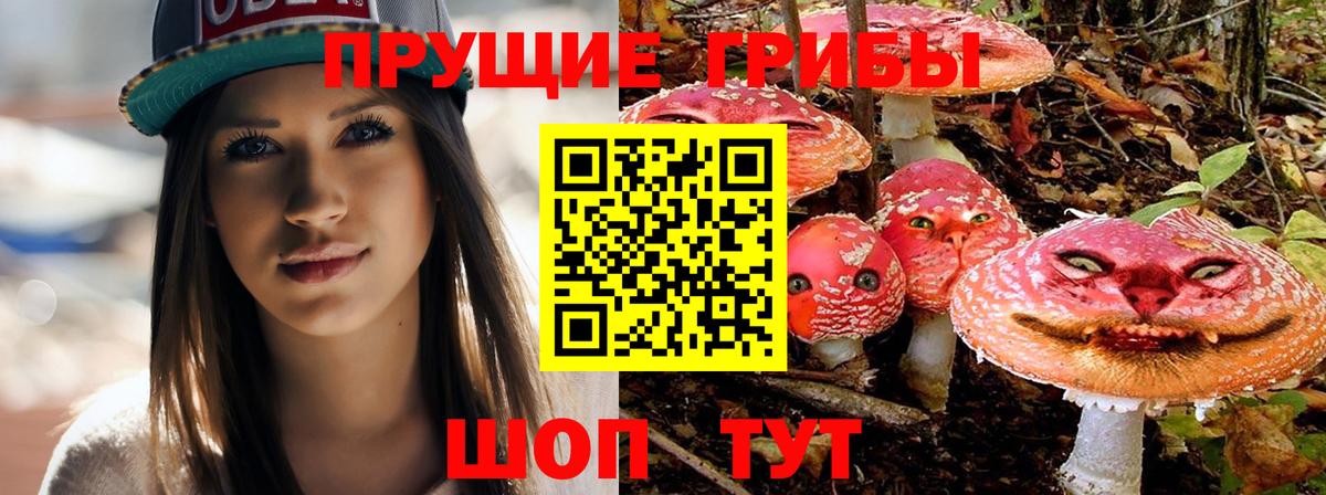 Галлюциногенные грибы ЛСД  Вход с VPN  Аксай 