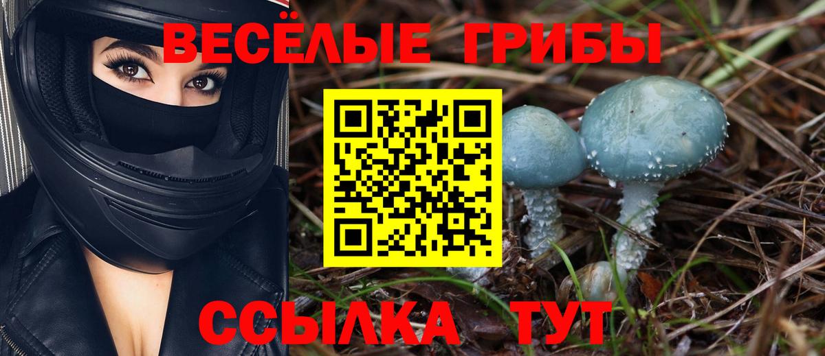 Галлюциногенные грибы GOLDEN TEACHER  Аксай 